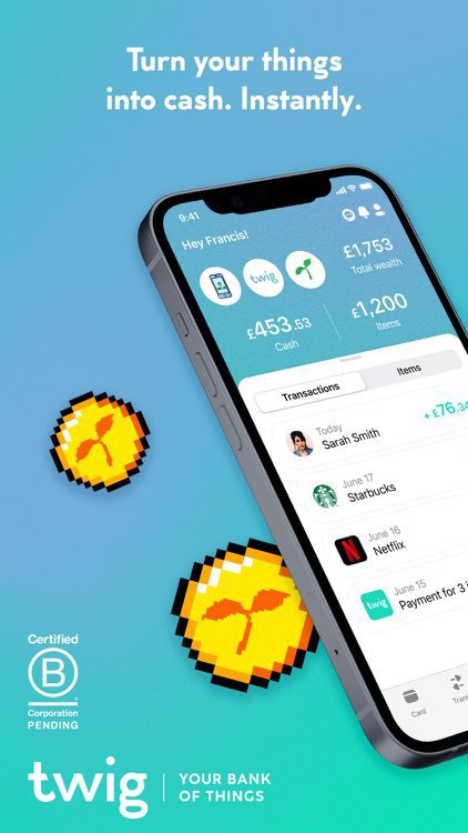 Twig Pay mobile app