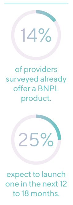 Banks are building BNPL Amount Survey